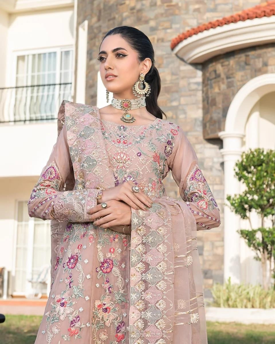 Ally's Chiffon embroidered shirt with embroidered paneling organza dupatta 3 piece