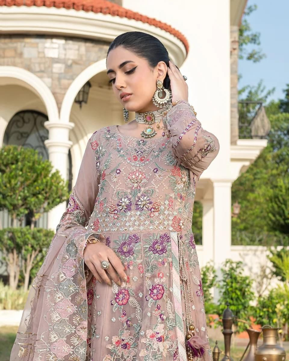 Ally's Chiffon embroidered shirt with embroidered paneling organza dupatta 3 piece