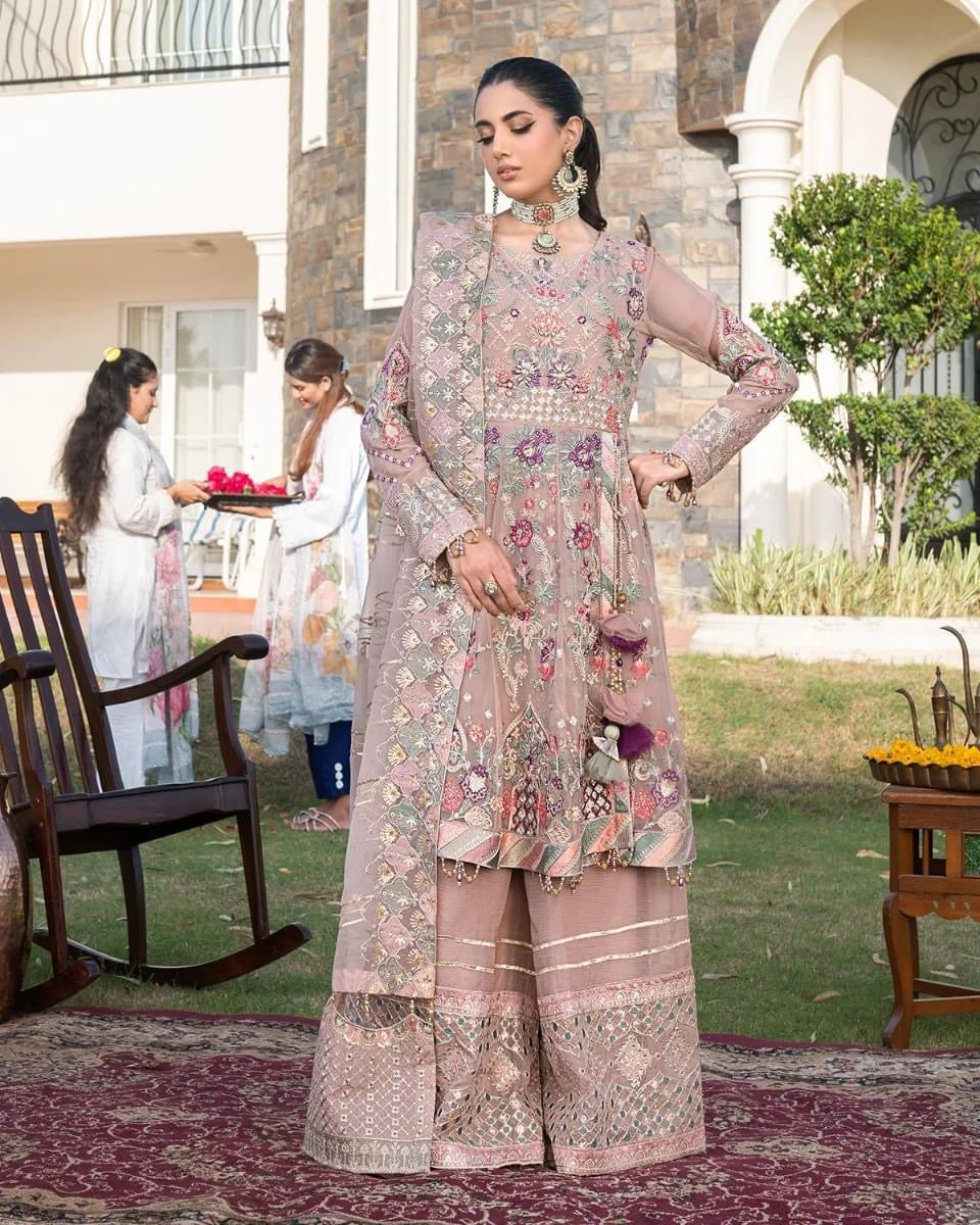 Ally's Chiffon embroidered shirt with embroidered paneling organza dupatta 3 piece